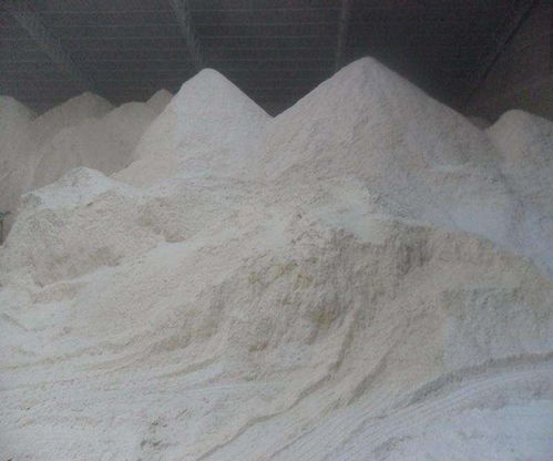 佛山金泰建材 專注優質熟石灰，服務建筑建材行業